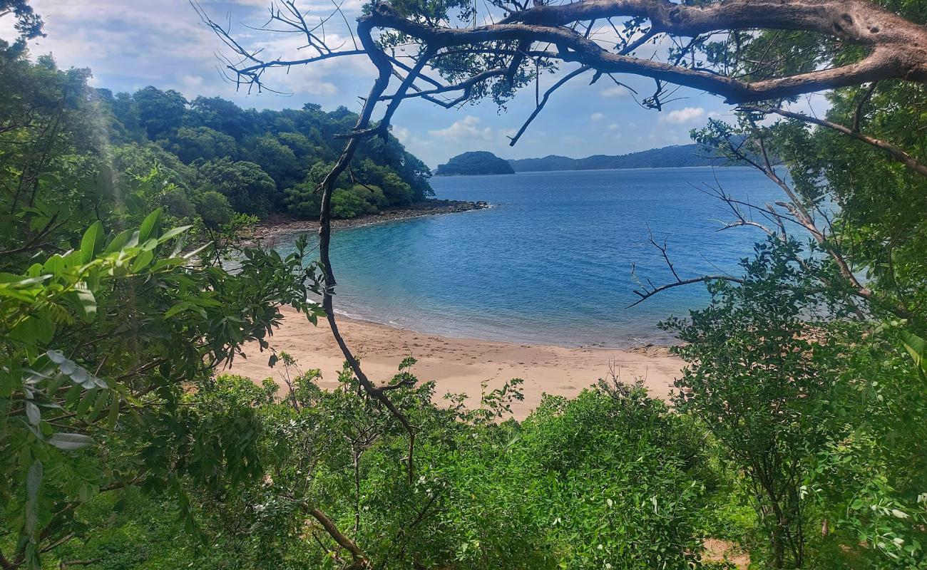 Photo of Macaya beach with bright sand surface