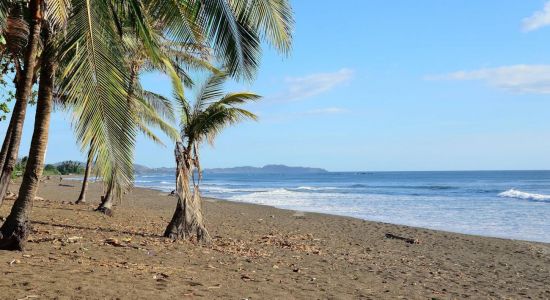 Playa del Ostional