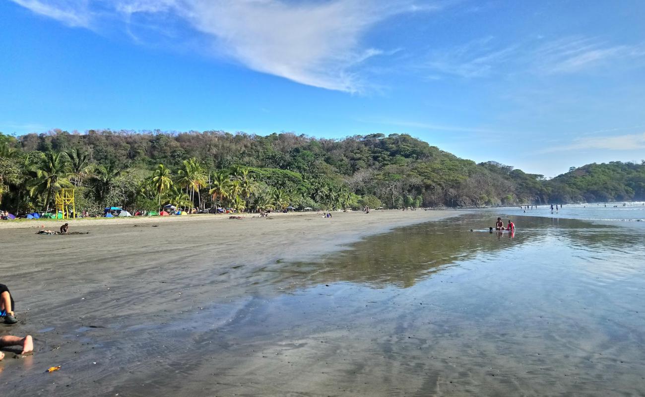 Photo of Coyote Beach with bright sand surface