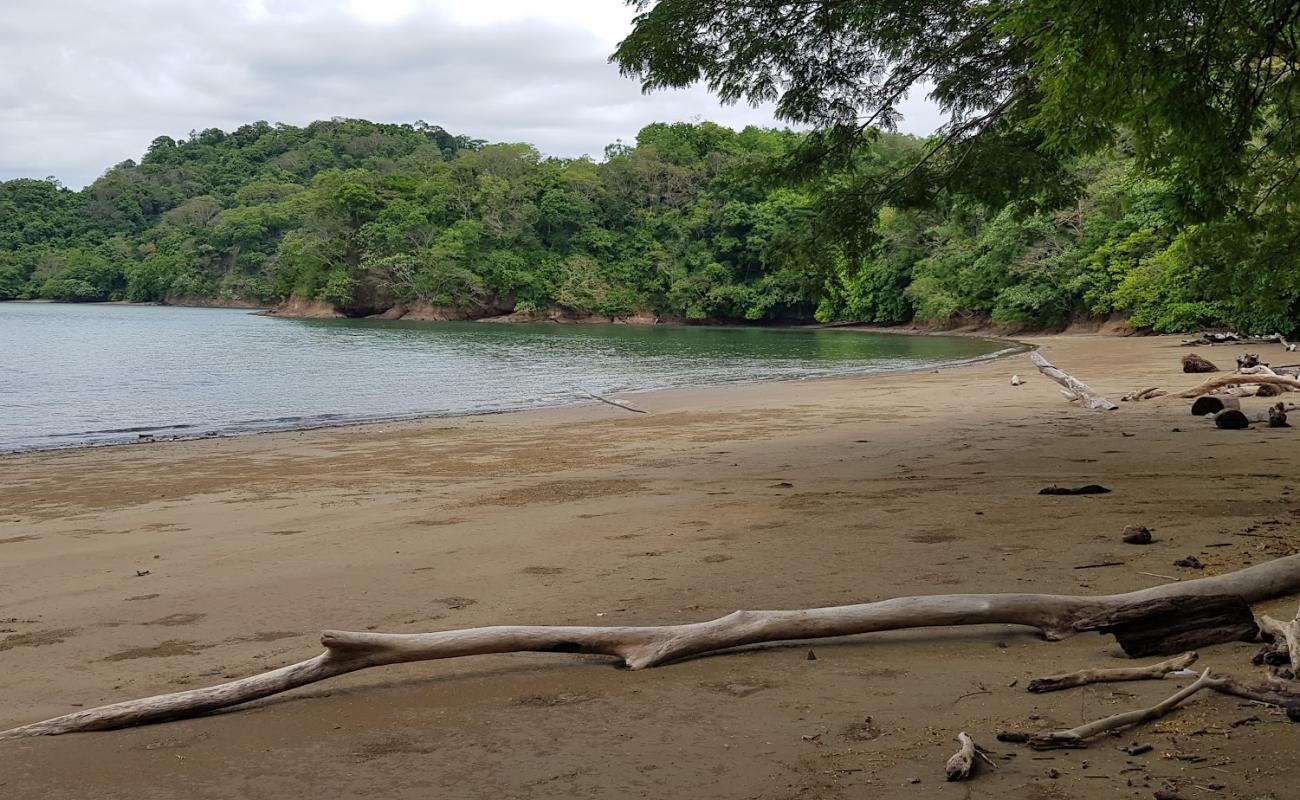 Photo of Playa Margarita with bright sand surface