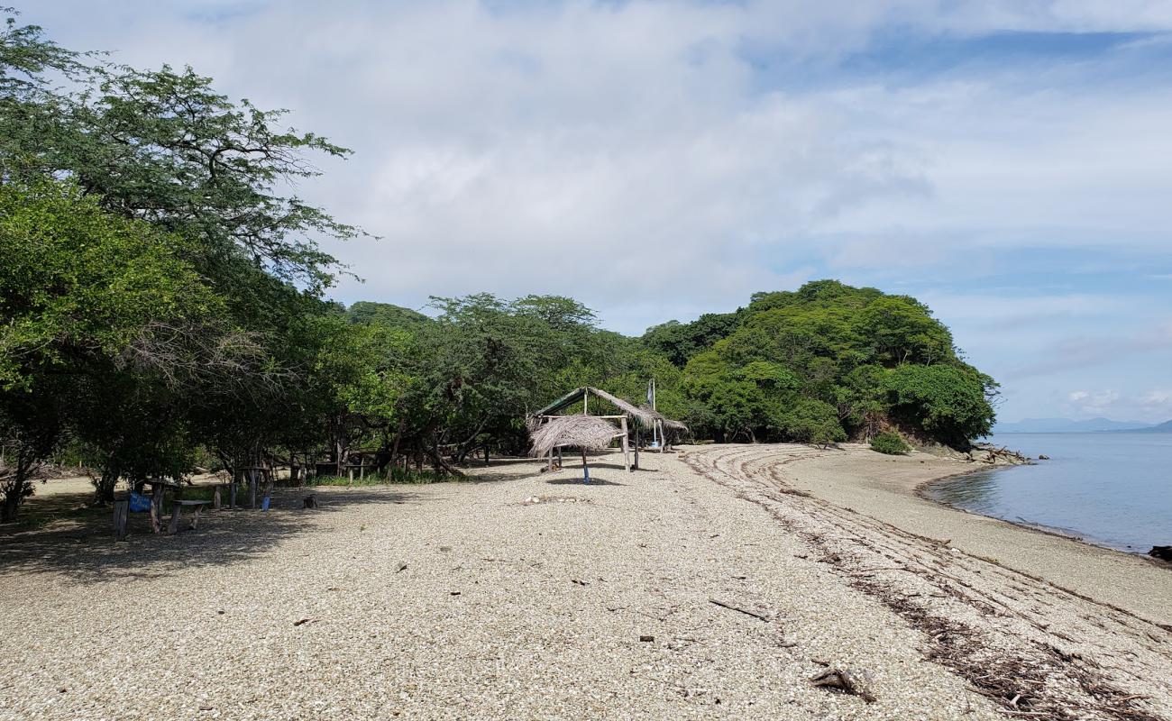 Photo of Playa Albina with light pebble surface