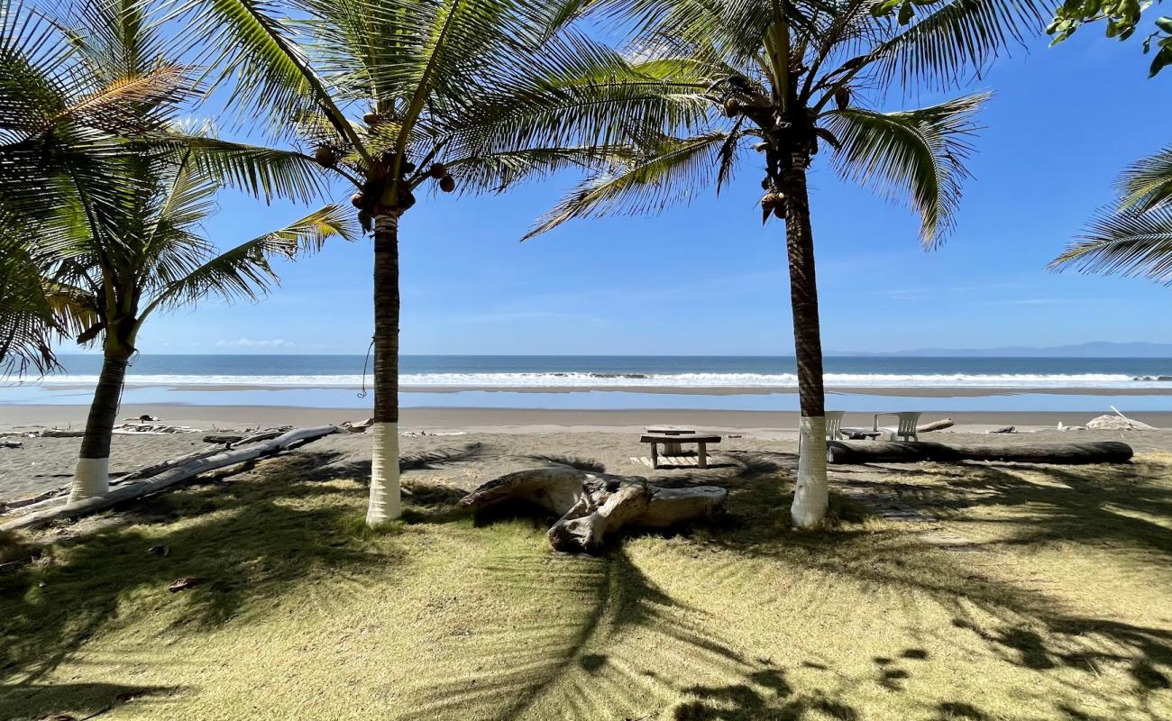 Photo of Playa Tivives with brown sand surface