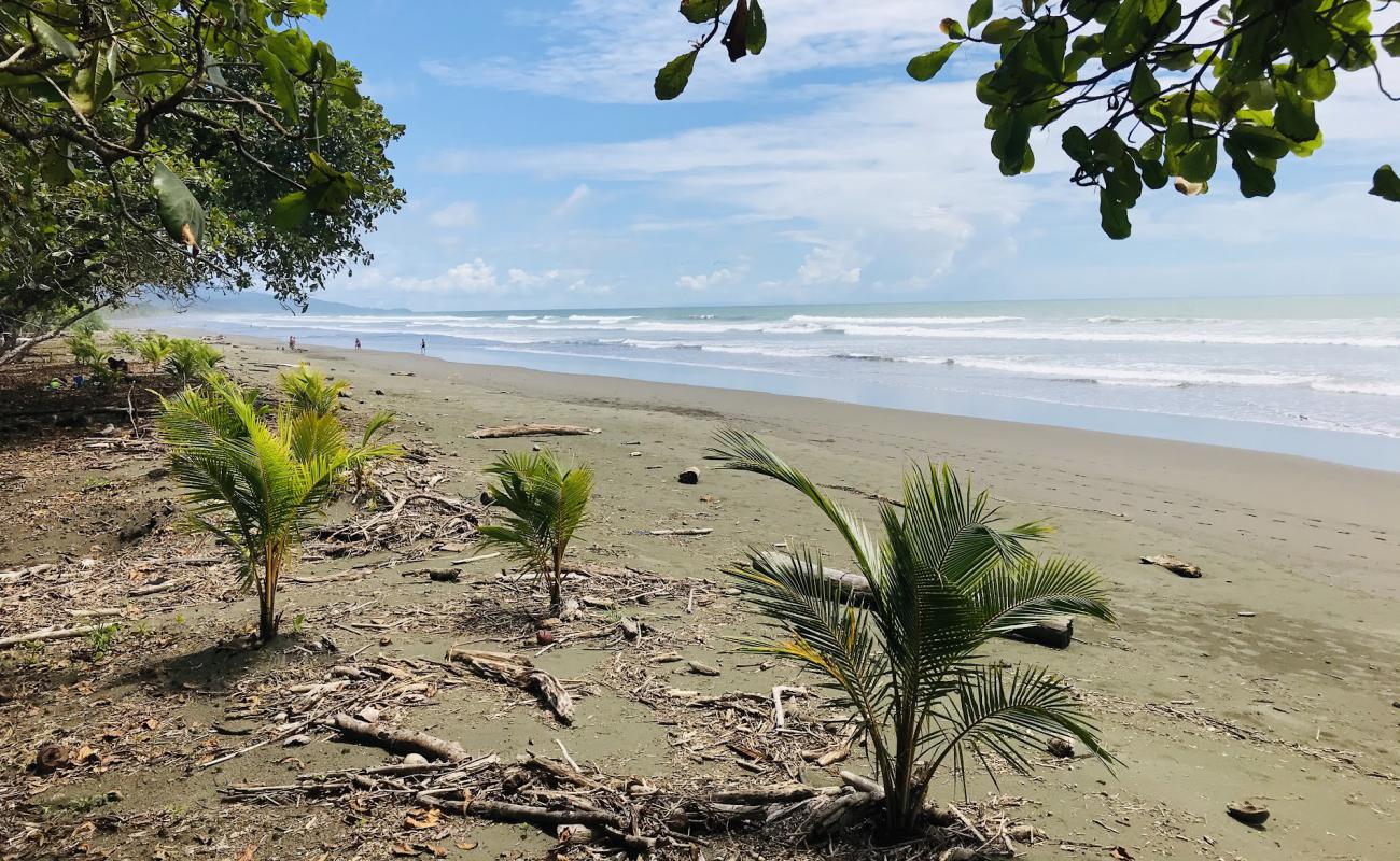 Photo of Playa Matapalo with bright sand surface