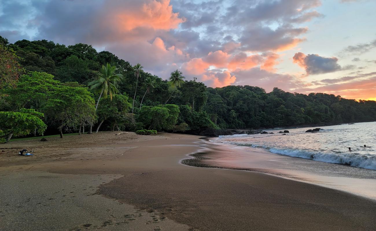 Photo of Cocalito Beach with brown sand surface