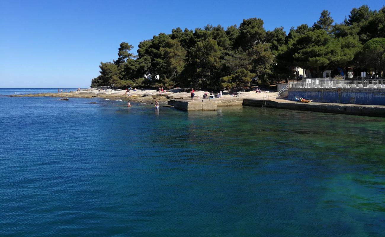 Photo of Pineta beach with concrete cover surface