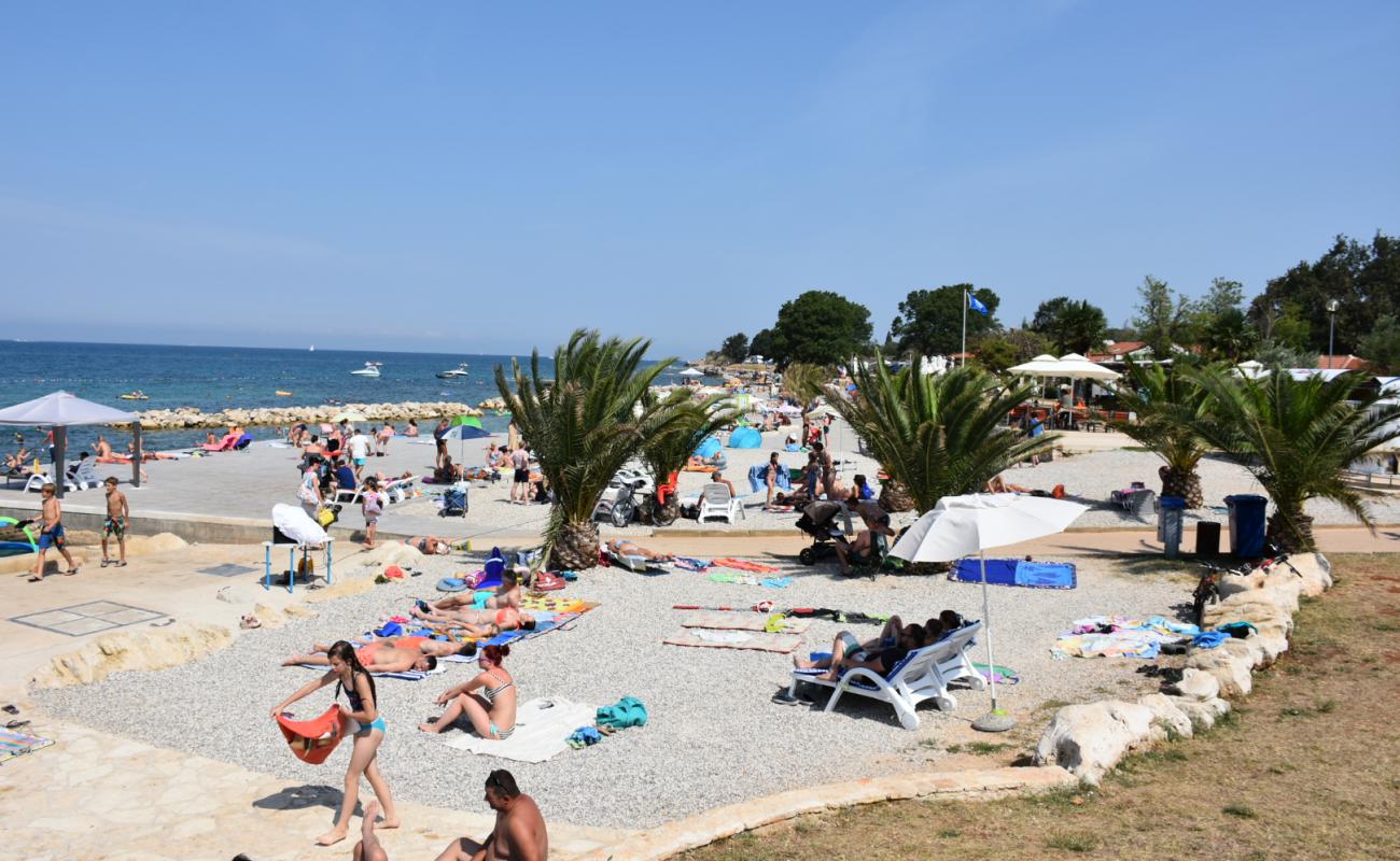 Photo of Lokvina beach with concrete cover surface