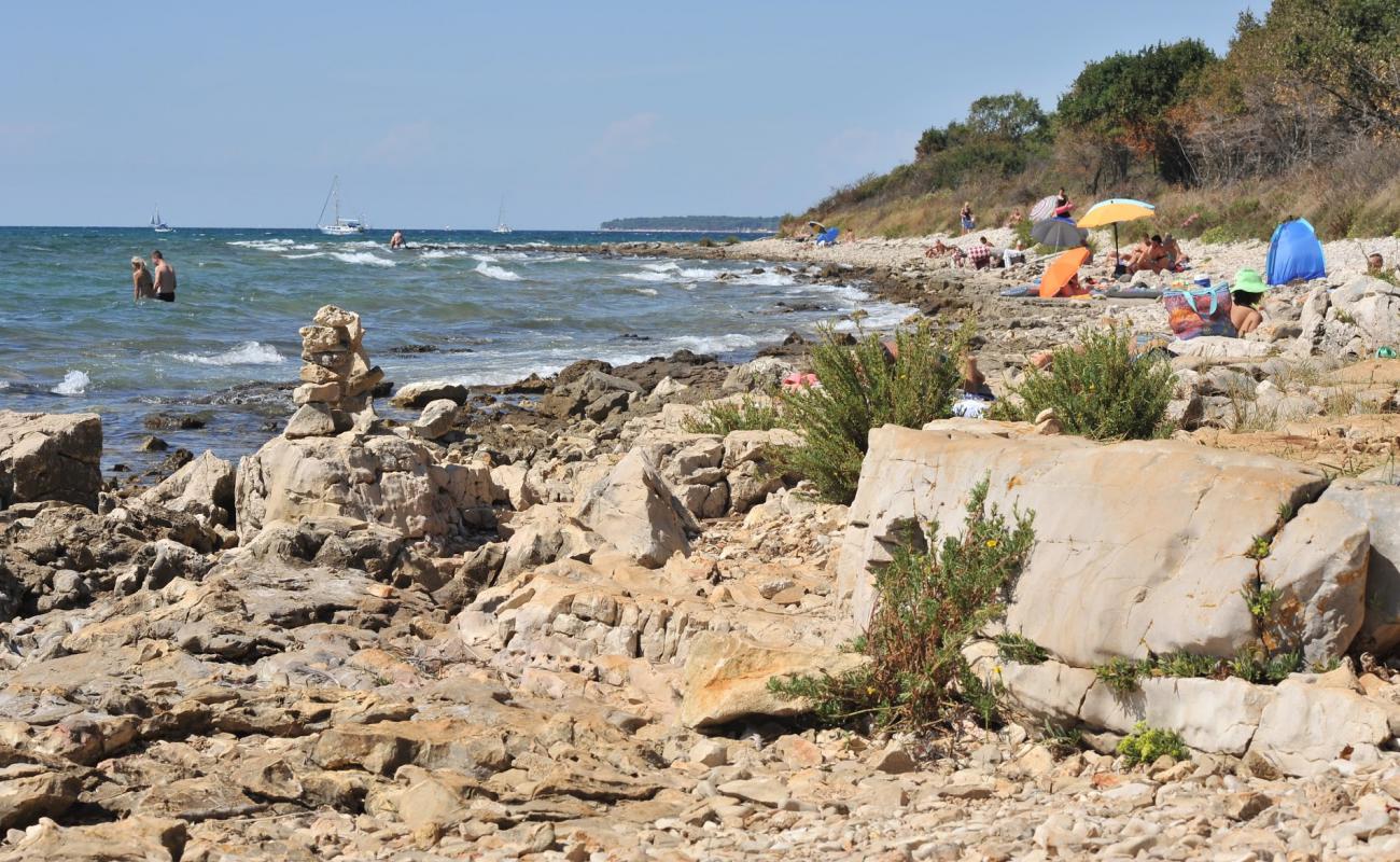 Photo of Hawaii beach with rocks cover surface