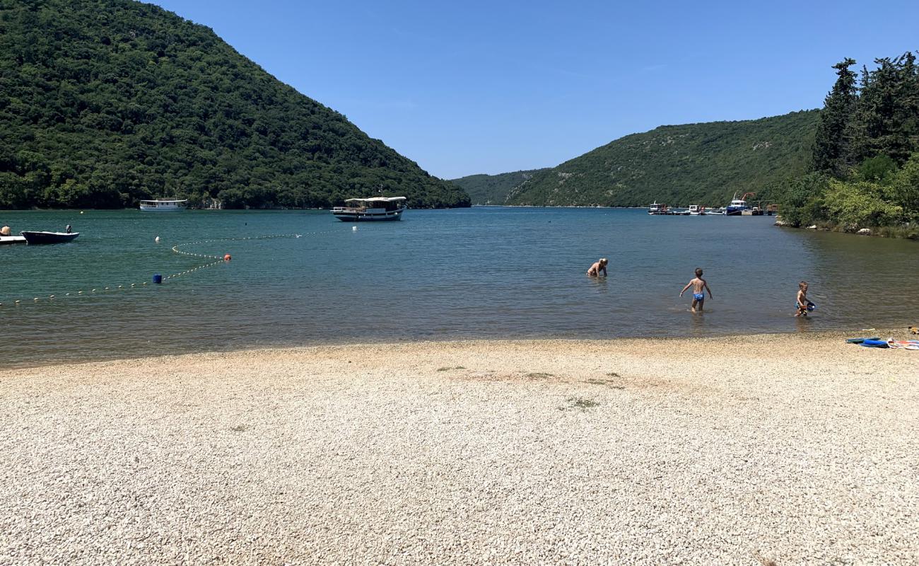 Photo of Fjord beach with brown fine pebble surface