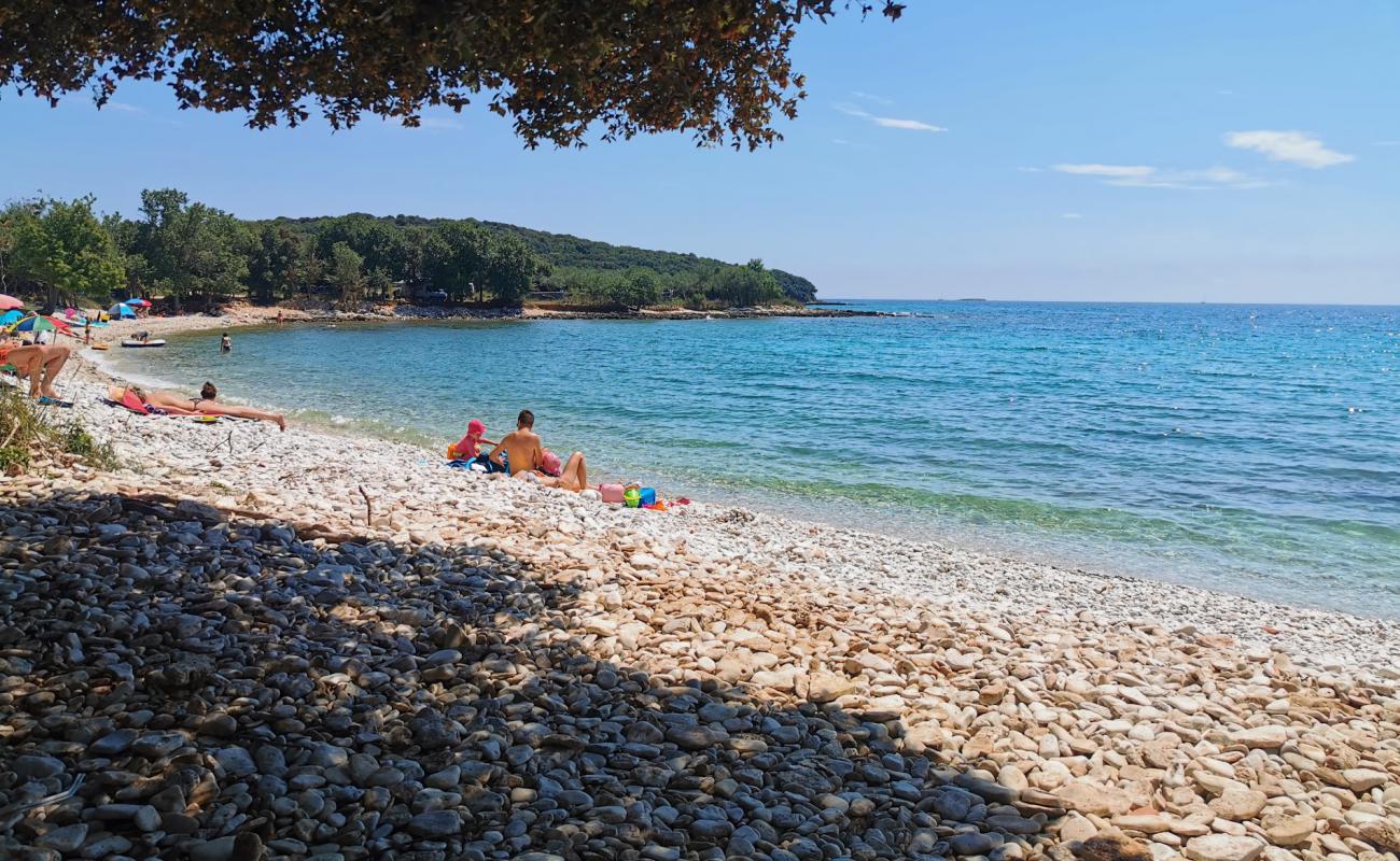 Photo of Cisterna beach with white pebble surface