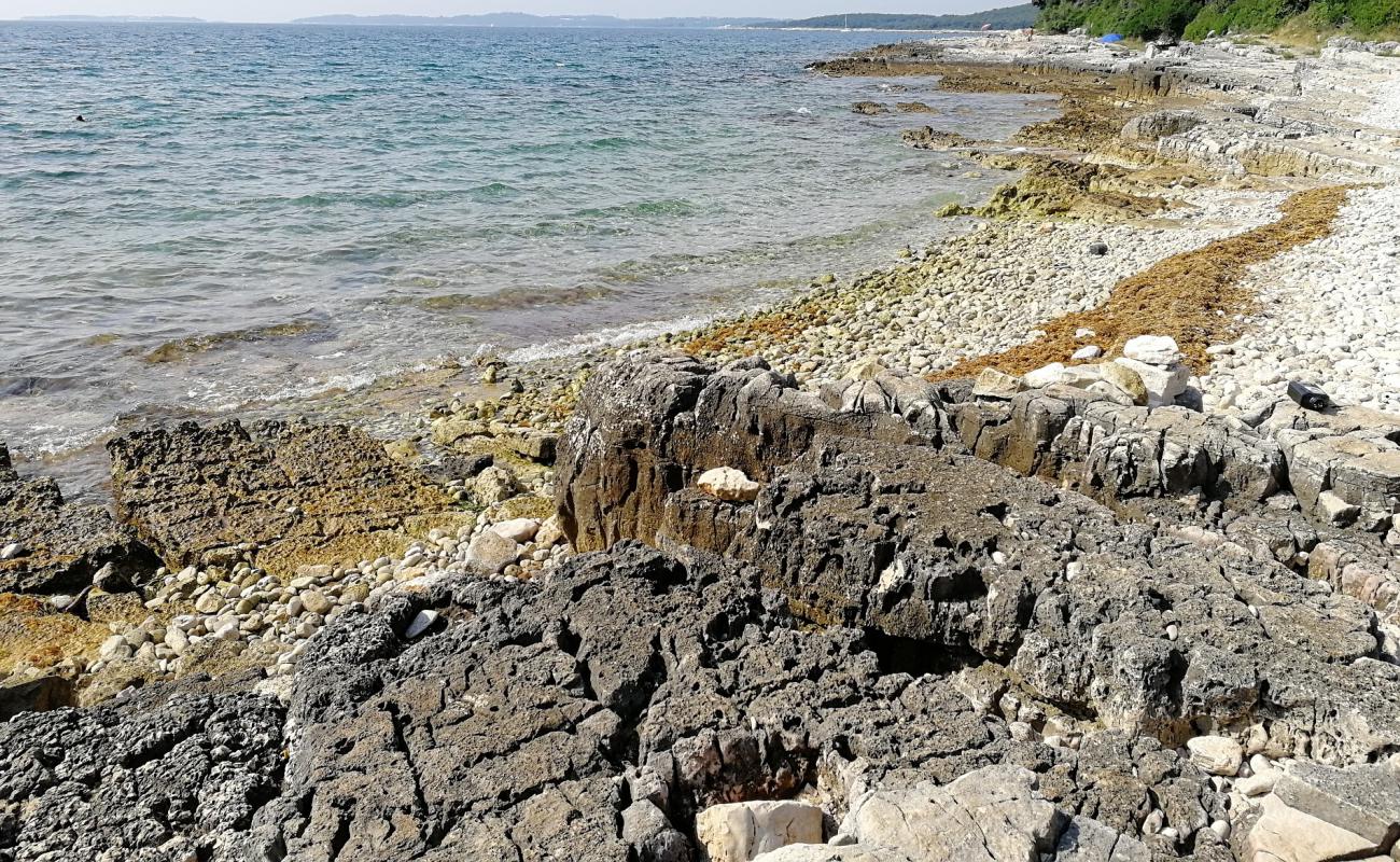 Photo of Coala beach with rocks cover surface