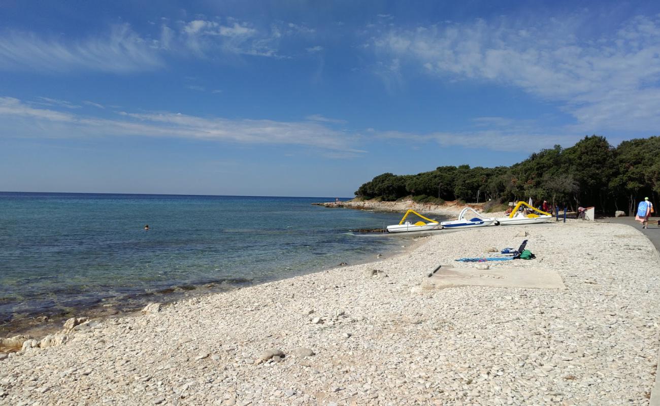 Photo of Barbariga beach with rocks cover surface