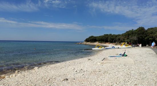 Barbariga beach