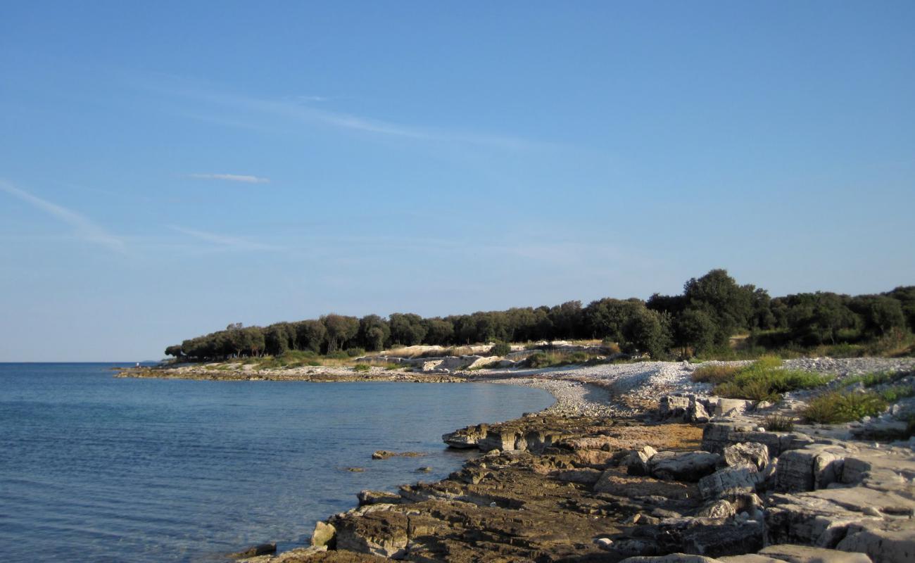 Photo of Dragonera beach with rocks cover surface