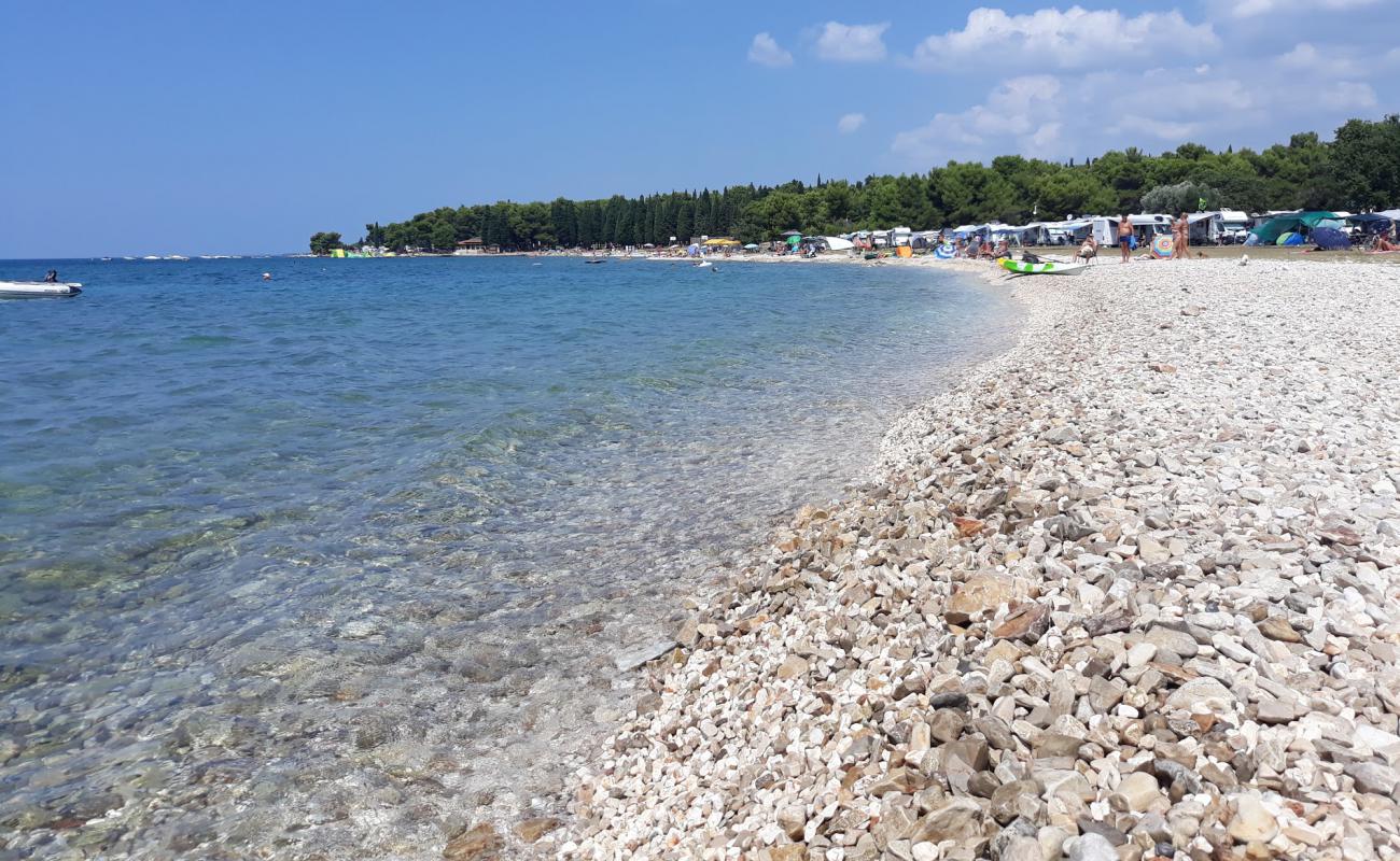 Photo of AC Pineta beach with light pebble surface