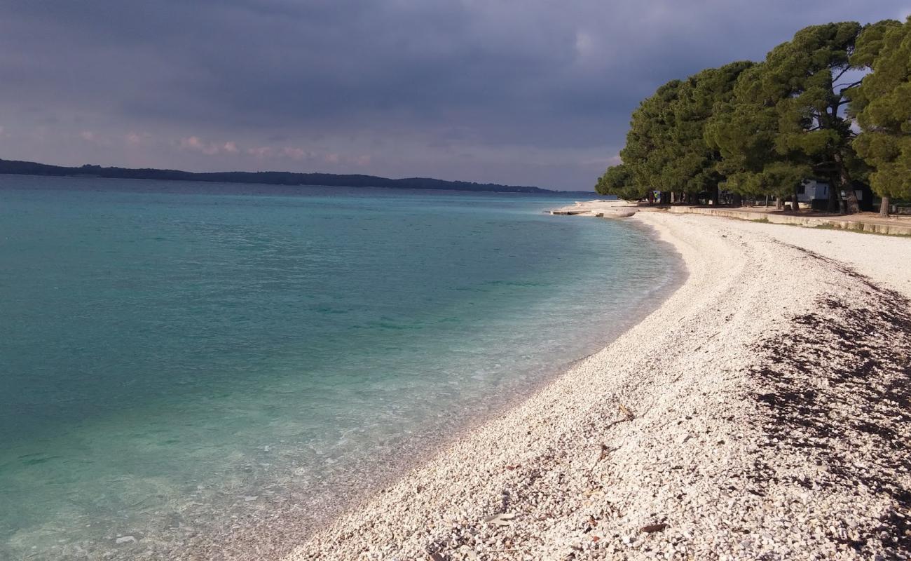 Photo of Fazana beach with light fine pebble surface