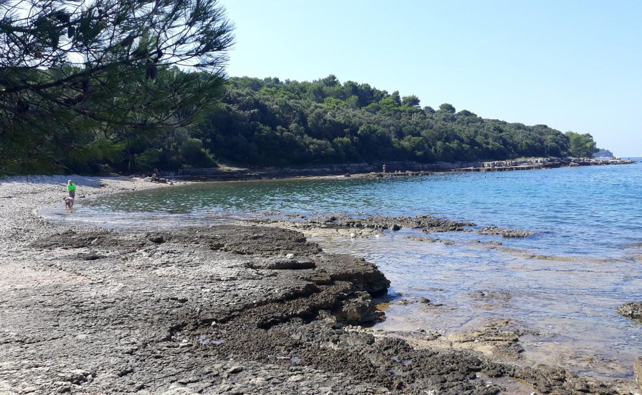 Photo of Lost beach with rocks cover surface