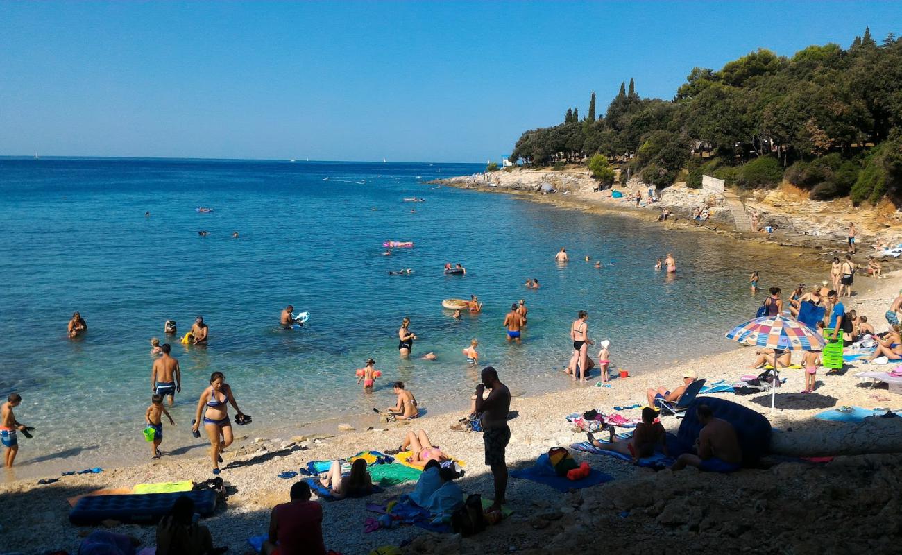 Photo of Saccorgiana Cove with rocks cover surface