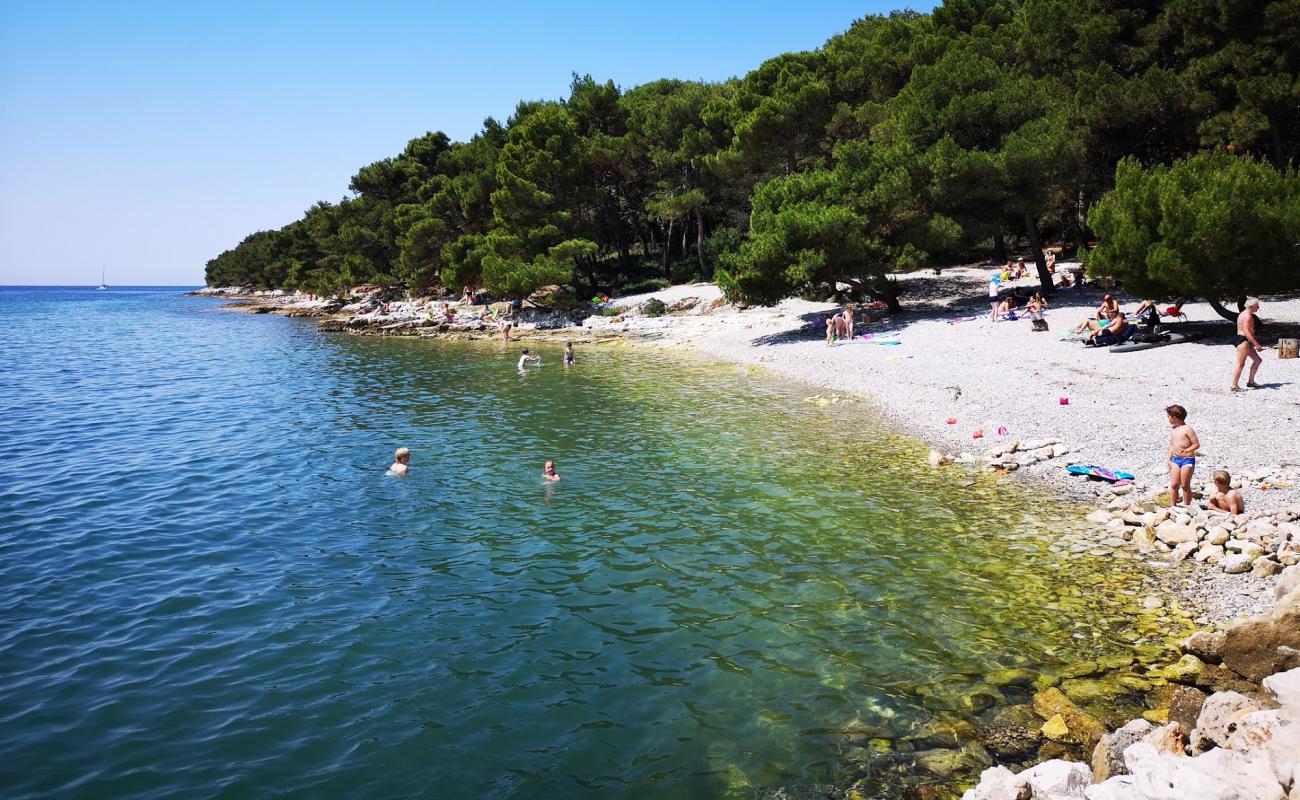 Photo of Paltana beach with gray pebble surface