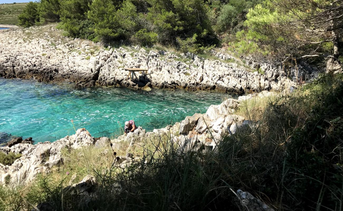 Photo of Draga beach with rocks cover surface