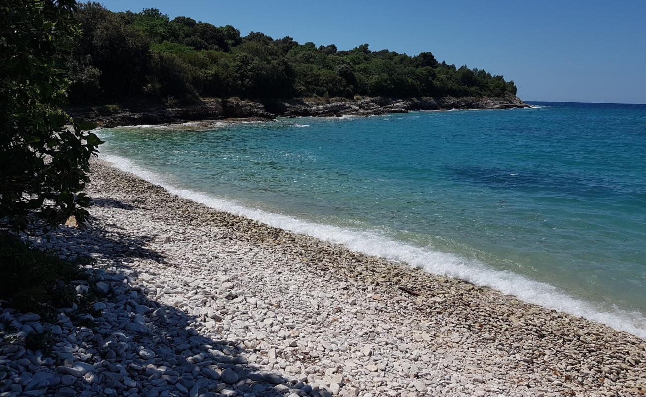 Photo of Polje beach with rocks cover surface