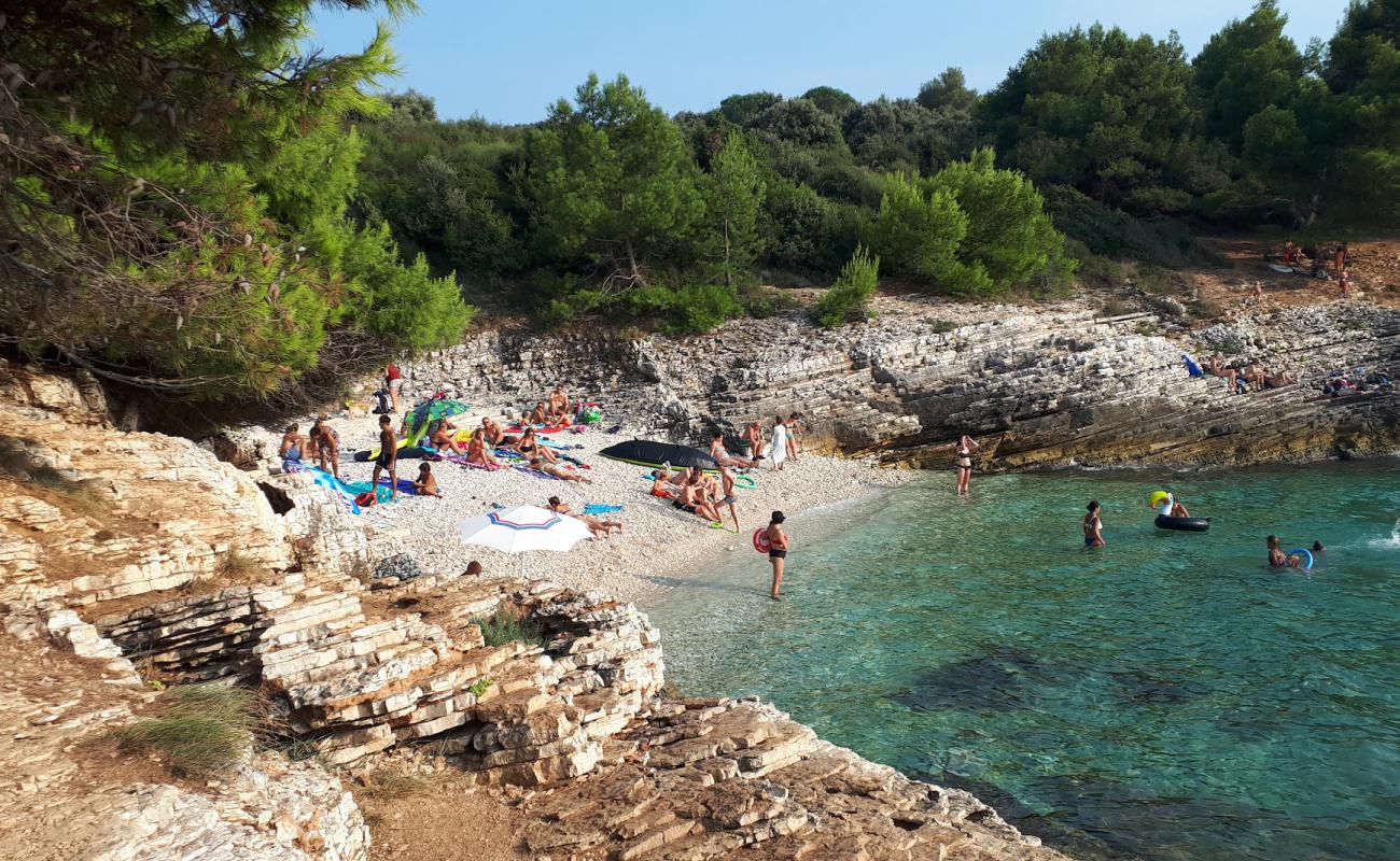 Photo of Plovanije beach with light pebble surface