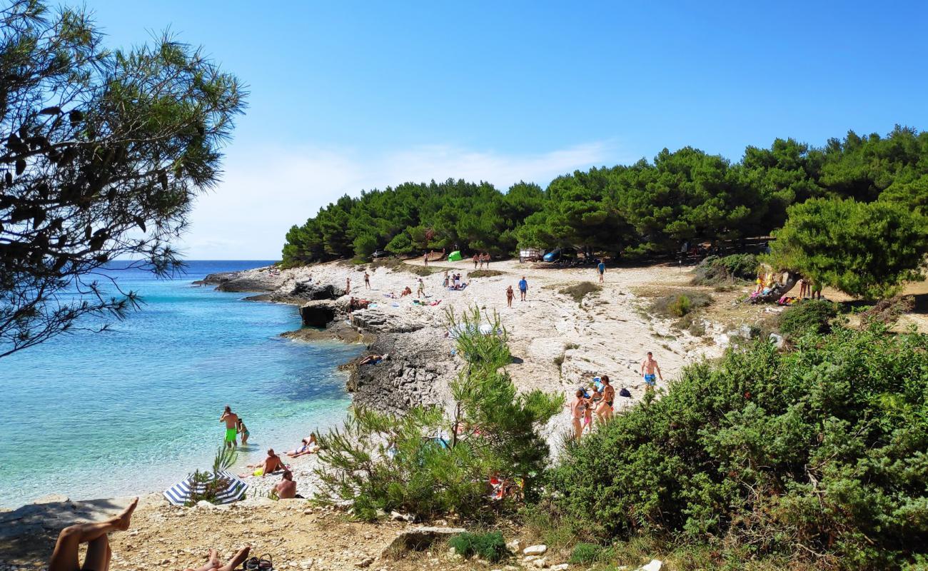 Photo of Njive beach with light pebble surface