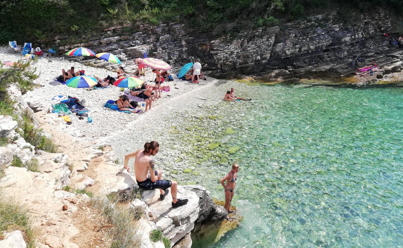 Photo of Radovica beach with light pebble surface