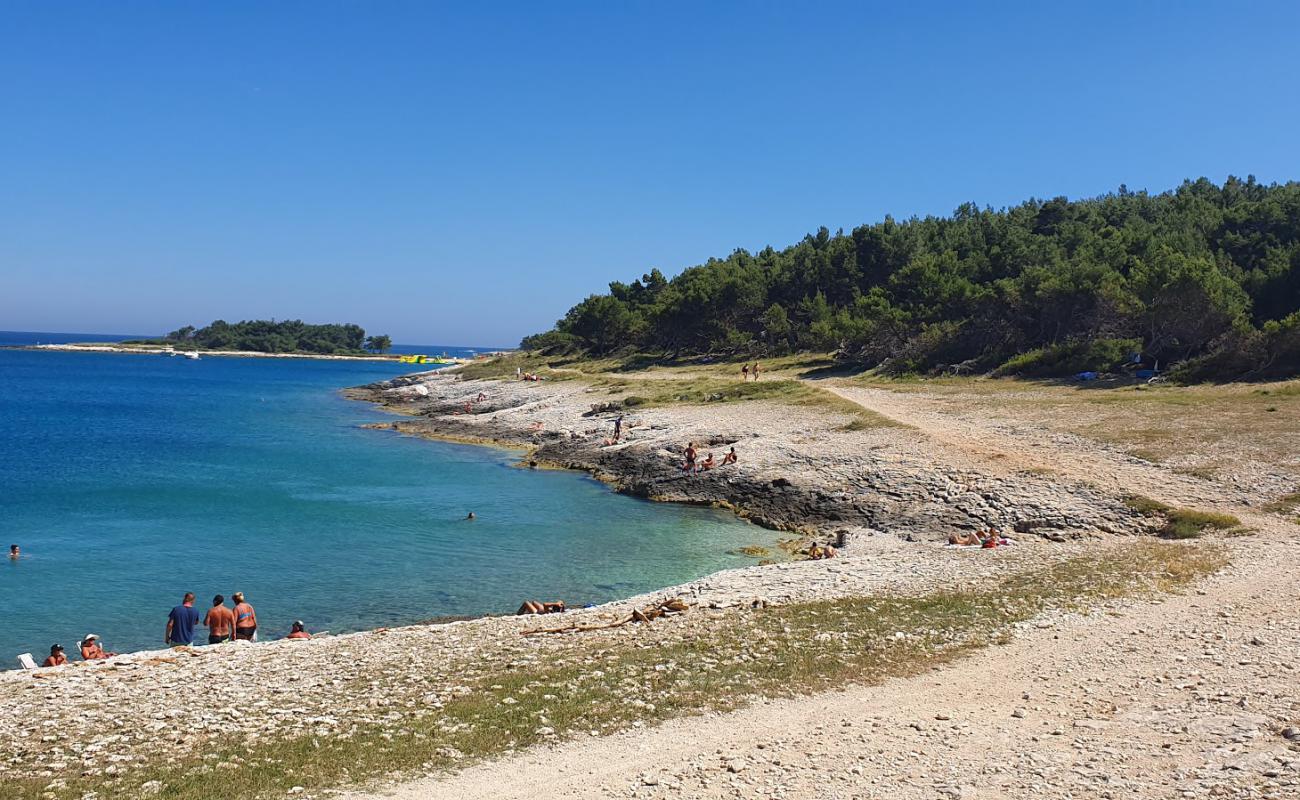 Photo of Drazice beach with light pebble surface