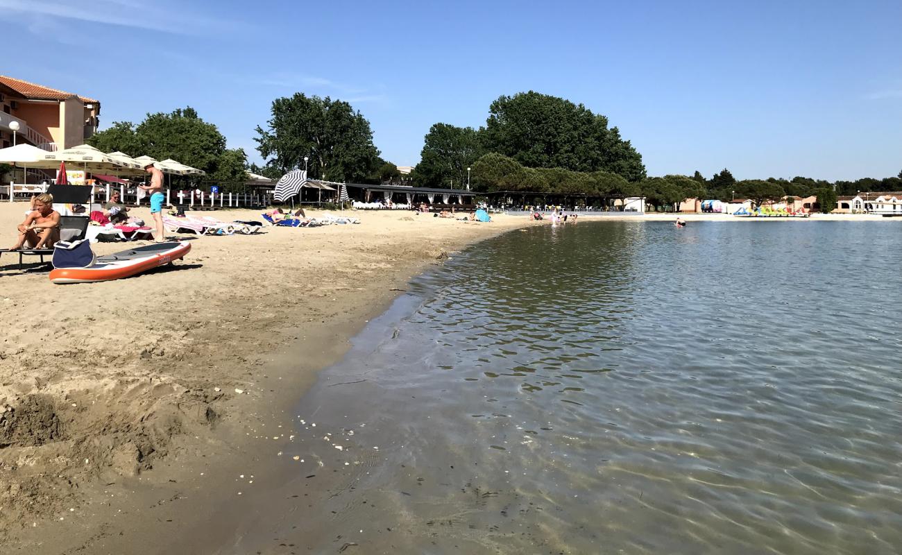 Photo of Bijeca beach with bright sand surface