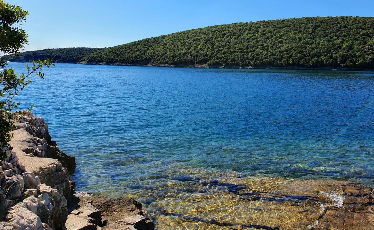 Photo of Wild beach with rocks cover surface