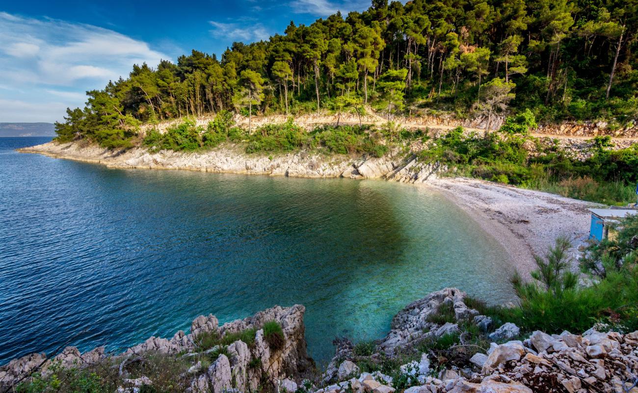 Photo of Drenje beach with light pebble surface