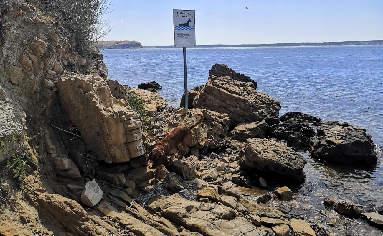 Photo of Dogs beach with rocks cover surface