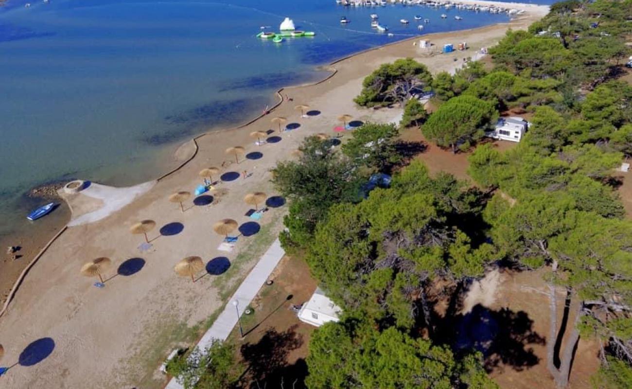 Photo of Dalmatia beach with bright sand surface