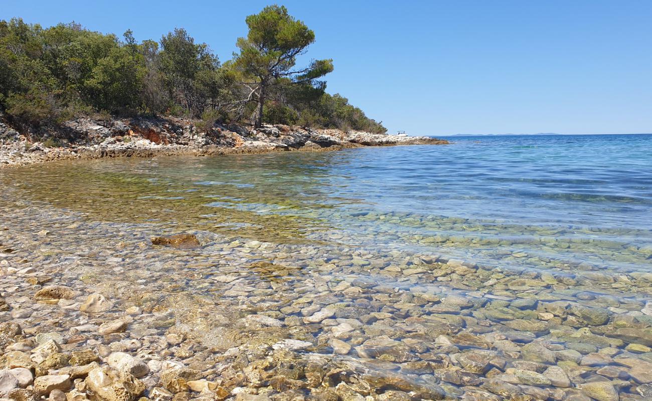 Photo of Punta Skala beach with rocks cover surface