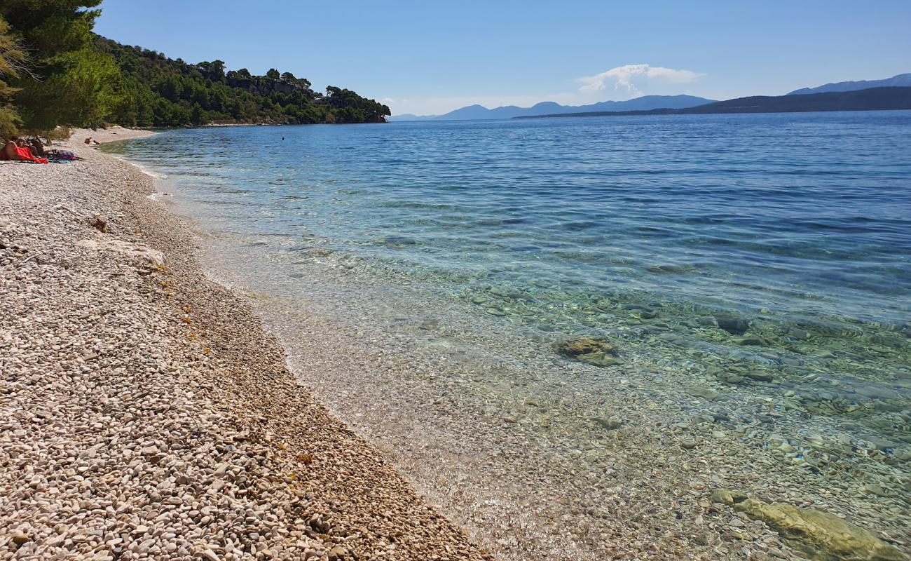 Photo of Djevicanska beach with light sand &  pebble surface