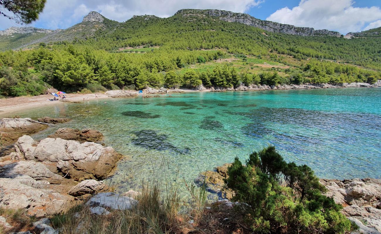 Photo of Zaglavak beach with light pebble surface