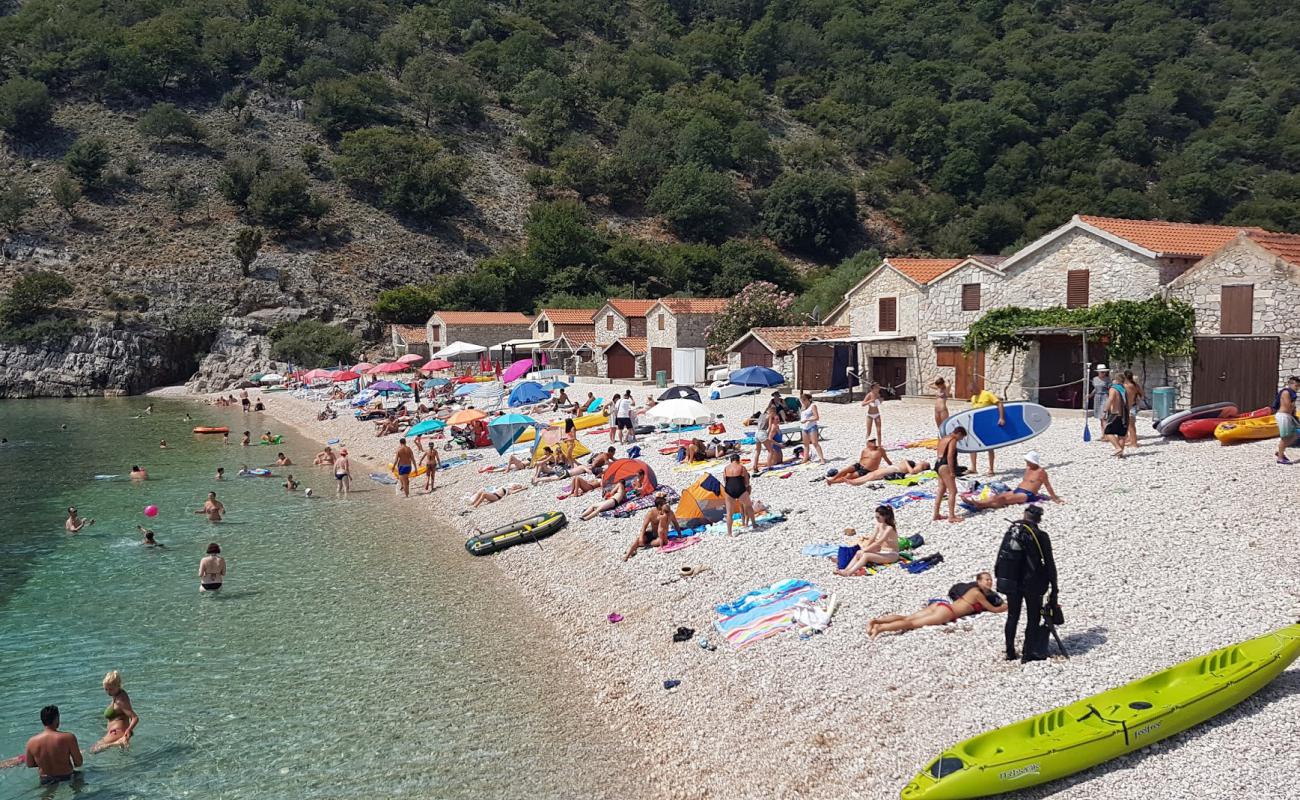 Photo of Beli beach with light pebble surface