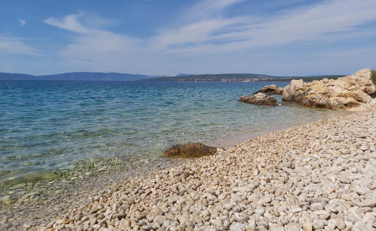 Photo of Dogs beach with light pebble surface