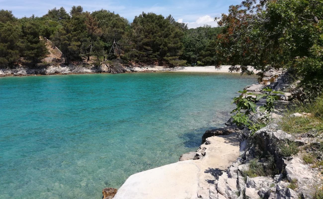 Photo of Mocca beach with light fine pebble surface