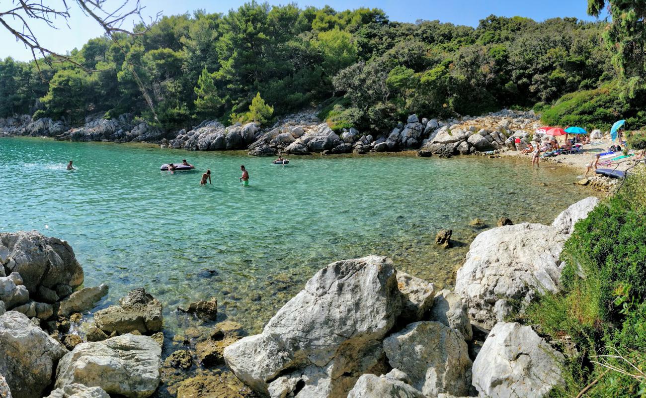 Photo of Jelenovica beach with rocks cover surface