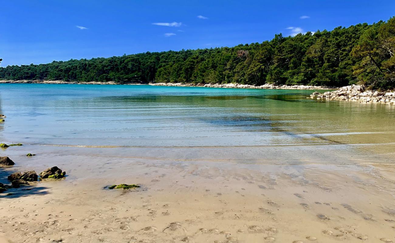 Photo of Chifnata Bay with gray sand &  rocks surface