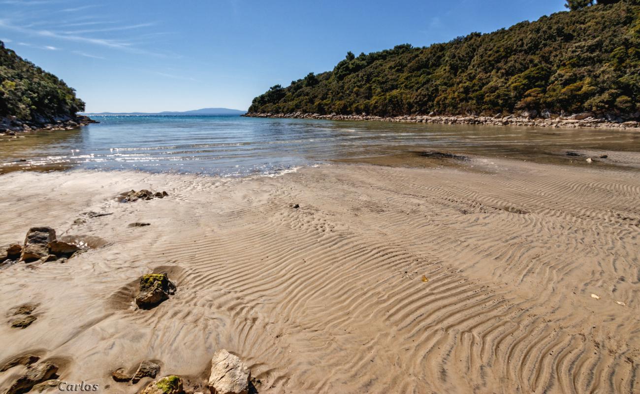 Photo of Valsika beach with gray sand &  rocks surface