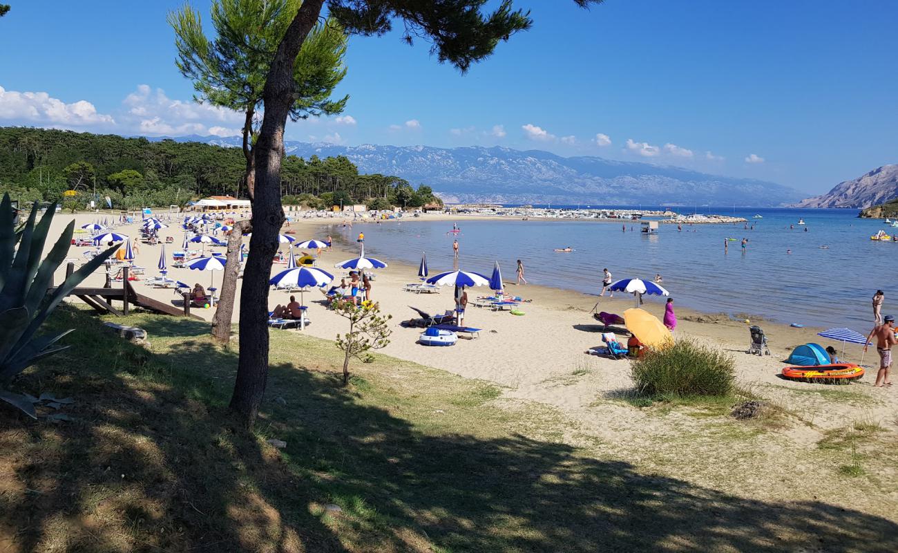 Photo of Paradise beach with bright sand surface