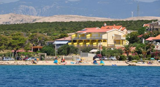 Cochineal beach