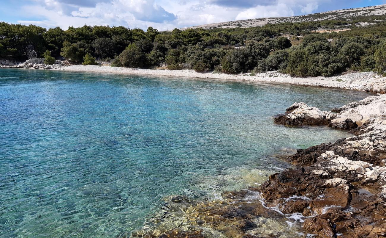 Photo of Stork beach with white pebble surface