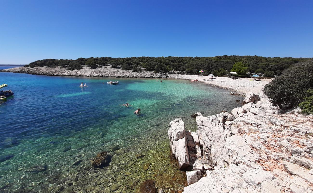 Photo of Marlin beach with light pebble surface