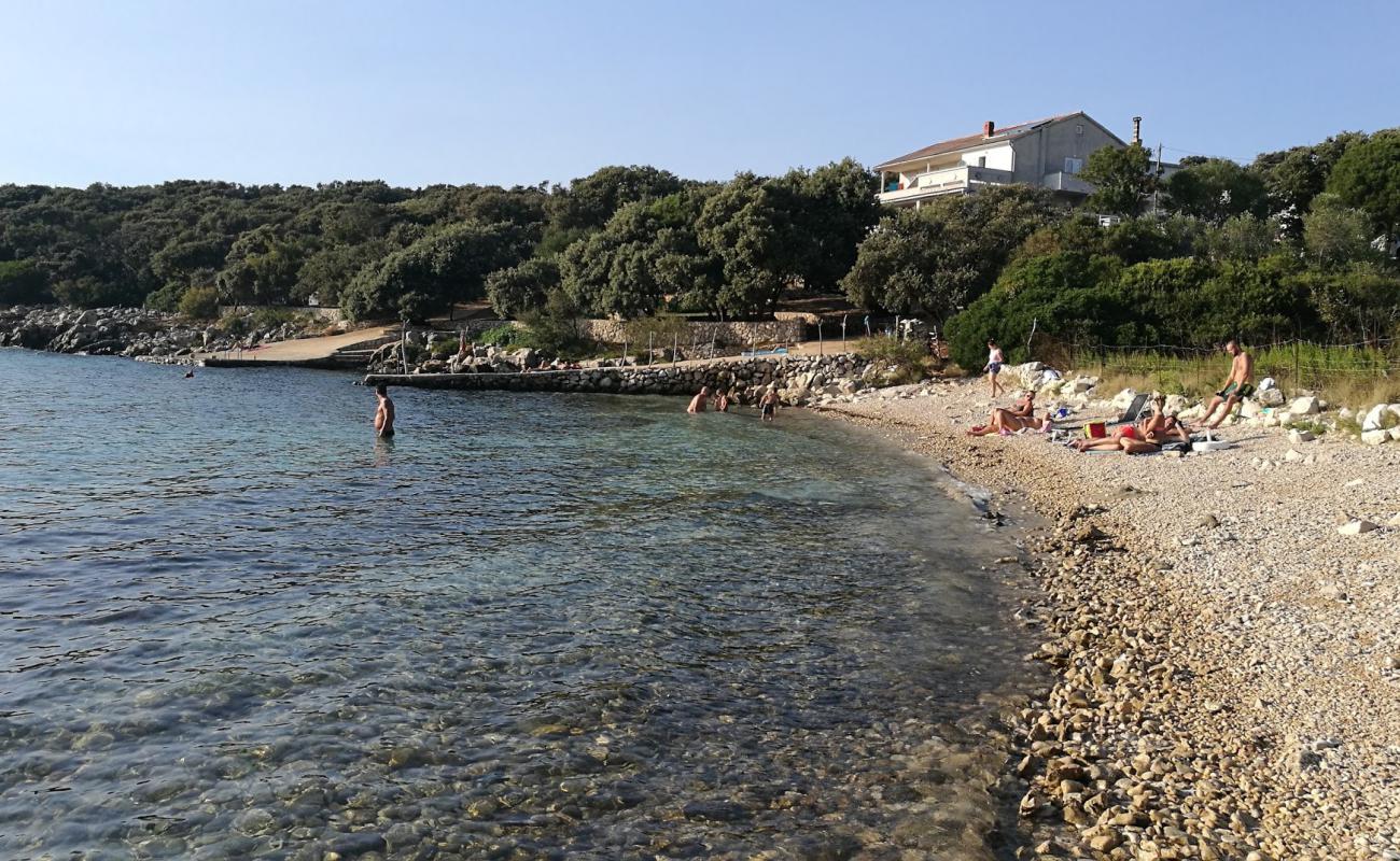 Photo of Tajana beach with light pebble surface