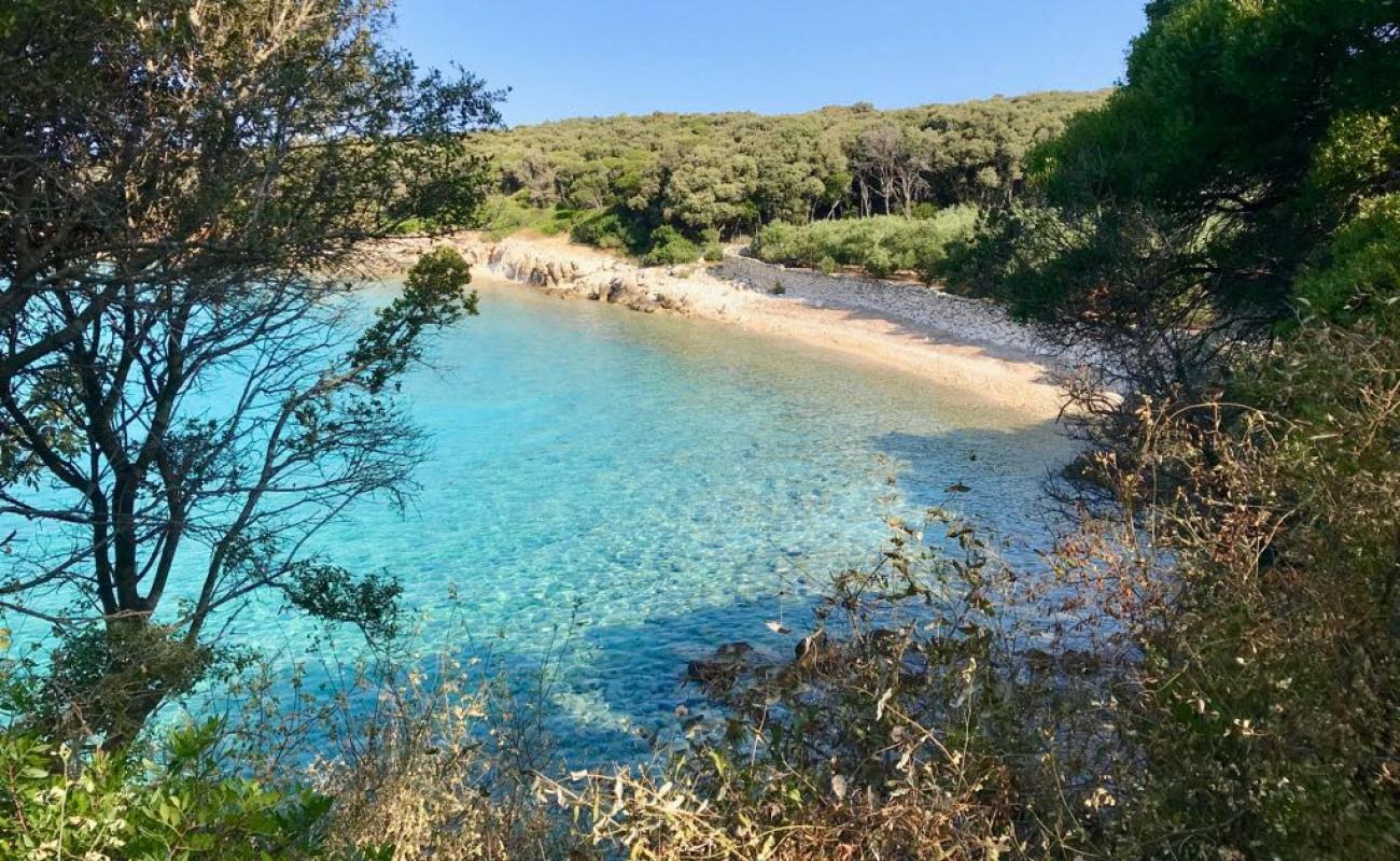 Photo of Dudici beach with light pebble surface