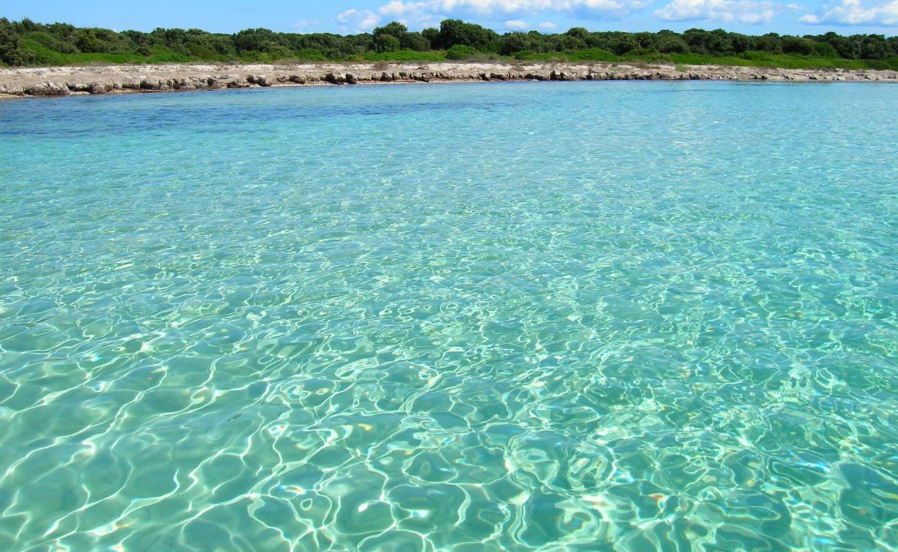 Photo of Baia Slatina beach with rocks cover surface