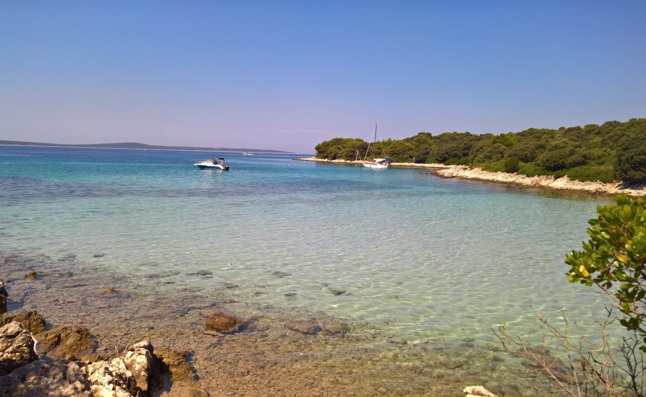 Photo of Sv.Ante beach with light pebble surface